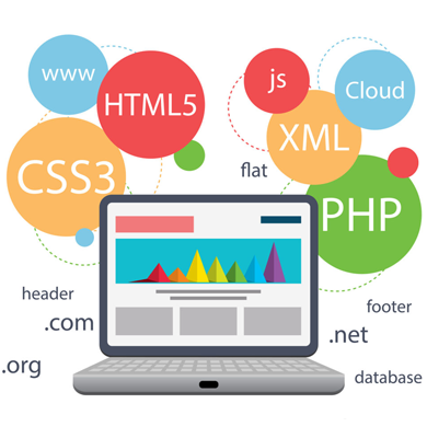 Web Design & Development & Company